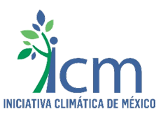 ICM